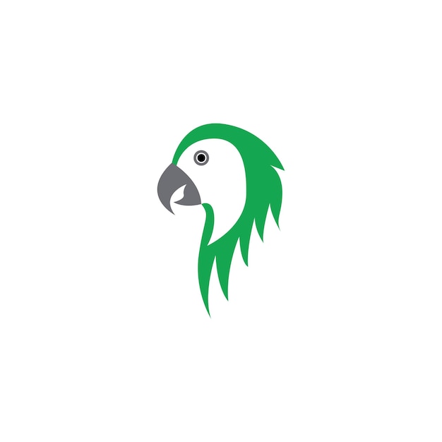 Logotipo de loro y plantilla vectorial