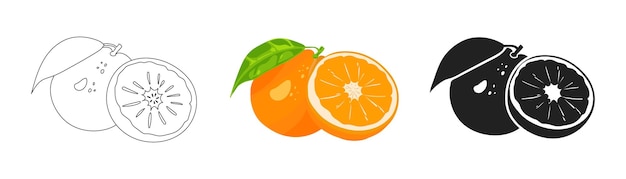 Logotipo de naranja jugosa Frutas cítricas frescas Vector