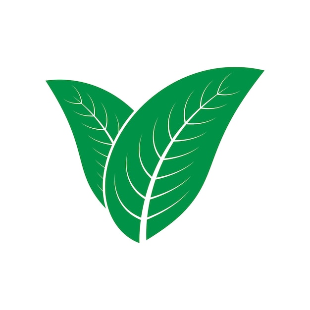 Logotipo de la naturaleza de la hoja
