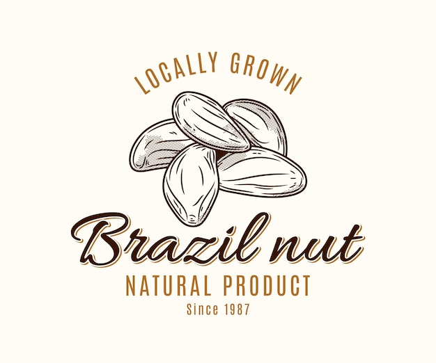 El logotipo de la nuez brasileña de Vector