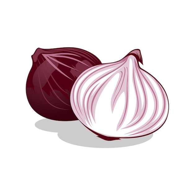 Logotipo o ilustración de cebolla en rodajas cebolla morada rojiza