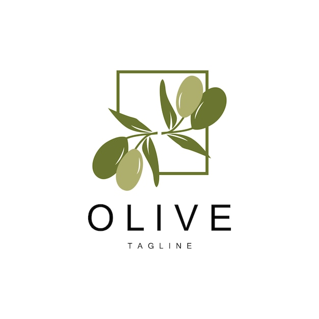 Logotipo de oliva Aceite de oliva Planta Vector Hierbas naturales Salud Medicina Diseño Ilustración Plantilla Icono