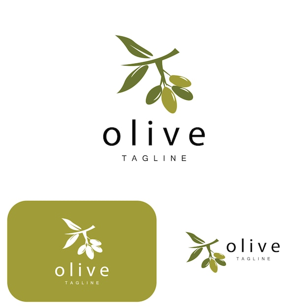 Logotipo de oliva Aceite de oliva Planta Vector Hierbas naturales Salud Medicina Diseño Ilustración Plantilla Icono