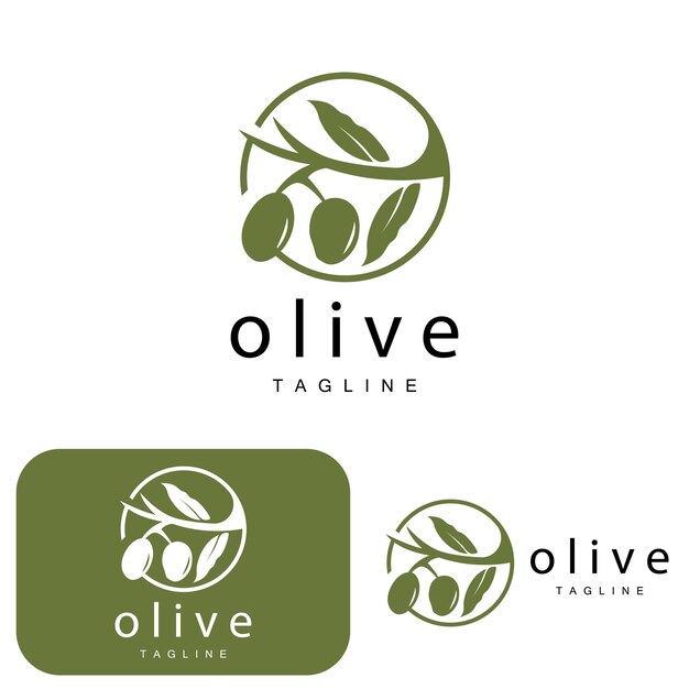 Logotipo de oliva Aceite de oliva Planta Vector Hierbas naturales Salud Medicina Diseño Ilustración Plantilla Icono