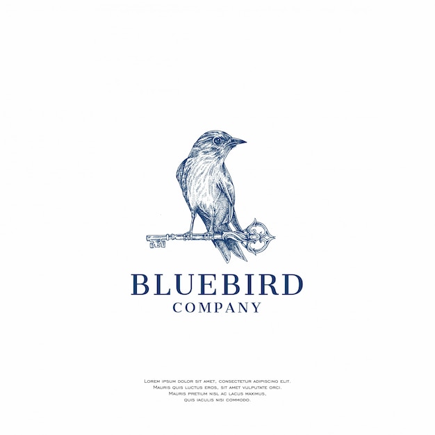 Logotipo de pájaro azul handrawn