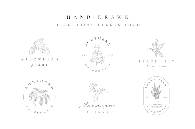 Vector logotipo de planta decorativa minimalista dibujado a mano.