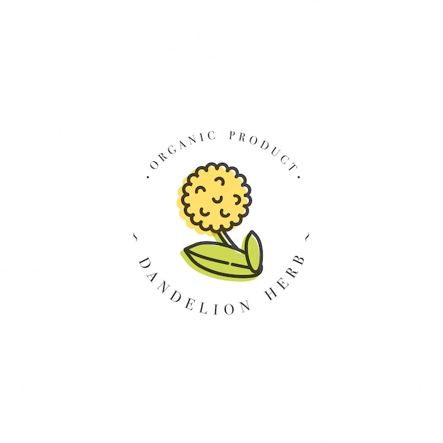 Logotipo de plantilla de diseño colorido y emblema saludable hierba- diente de León. Logotipo en moda estilo lineal aislado sobre fondo blanco.
