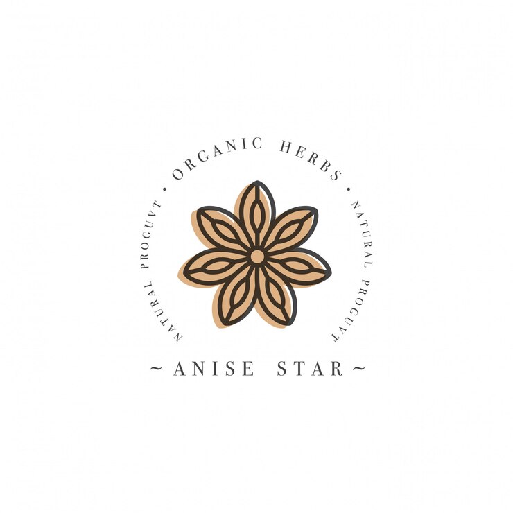 Logotipo de la plantilla de diseño de empaque y emblema - hierba y especias - estrella de anís. Logotipo en estilo lineal de moda.