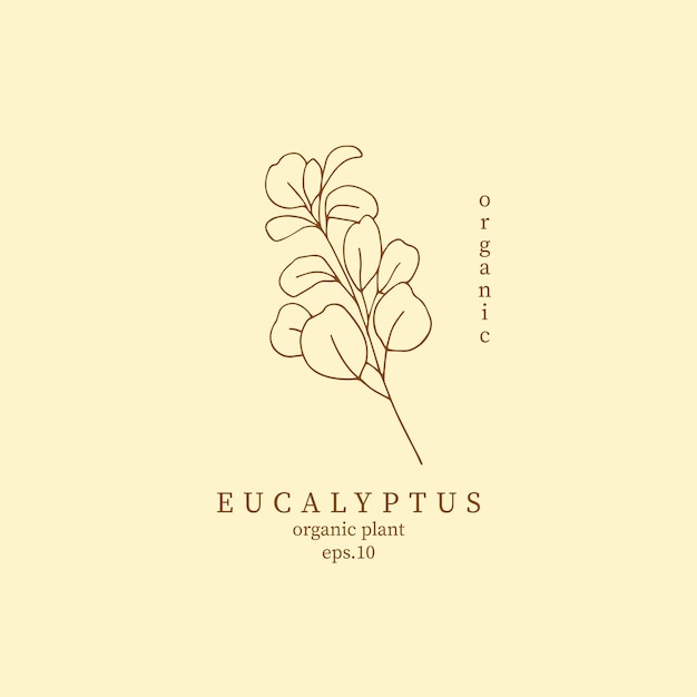 Logotipo de rama de eucalipto de arte lineal