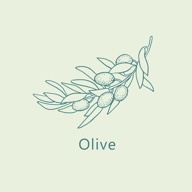 Logotipo de la rama de olivo arte de la línea de garabateo dibujo del bosquejo del árbol de olivo ilustración vectorial