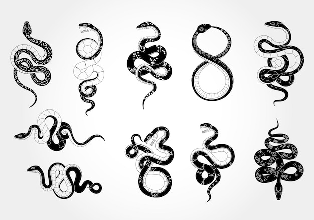 Logotipo de serpiente Icon anima Símbolo de Año Nuevo Asiático Sillota signo naturaleza gráfico tatuaje negro Elemento serpiente tropical peligrosa con lengua de escama víbora pitón dibujo vectorial conjunto aislado