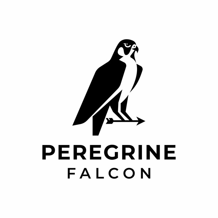 Vector logotipo de la silueta del pájaro halcón peregrino águila halcón