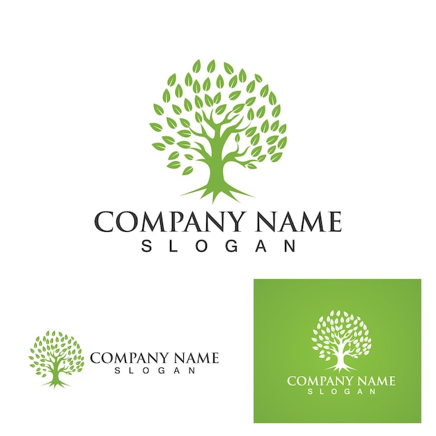 Logotipo y símbolo de la hoja verde del árbol