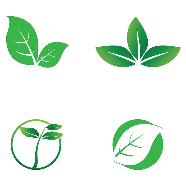 Logotipo simple de hoja natural y plantilla vectorial