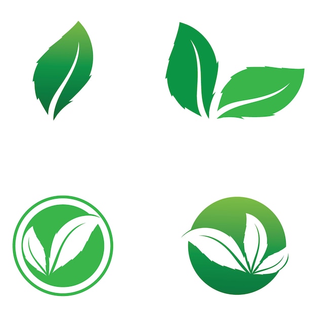 Logotipo simple de hoja natural y plantilla vectorial