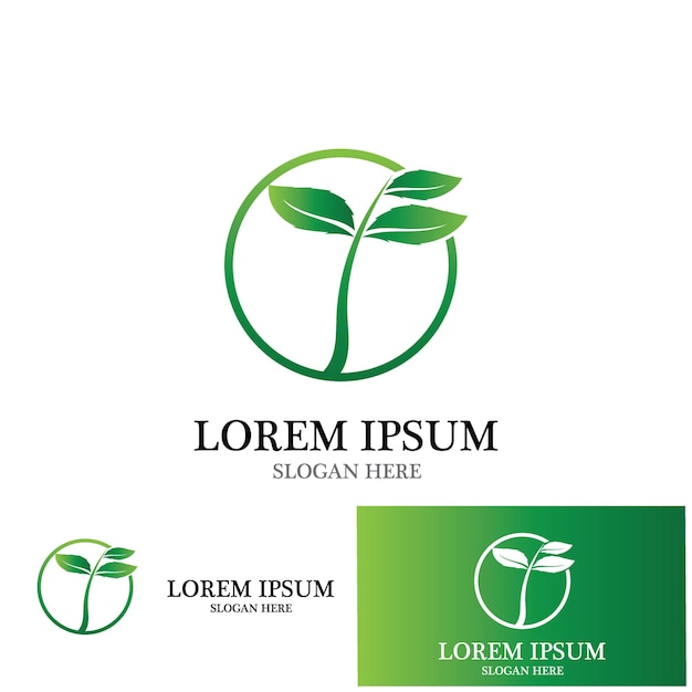 Logotipo simple de hoja natural y plantilla vectorial