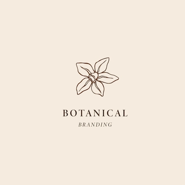 Logotipo de vainilla dibujado a mano Ilustración botánica
