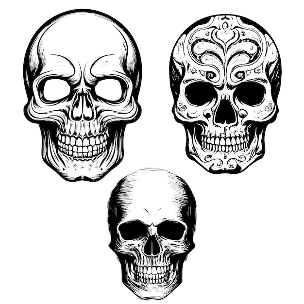 Logotipo de vector de cráneo humano vintage