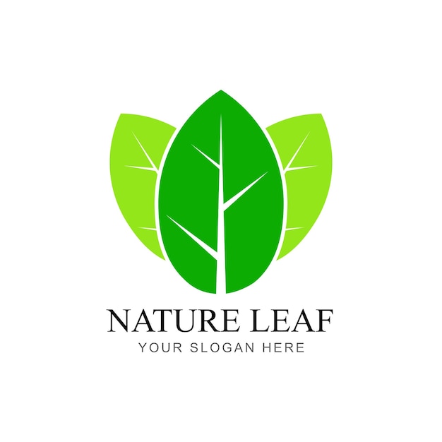 Logotipo del vector de la hoja verde