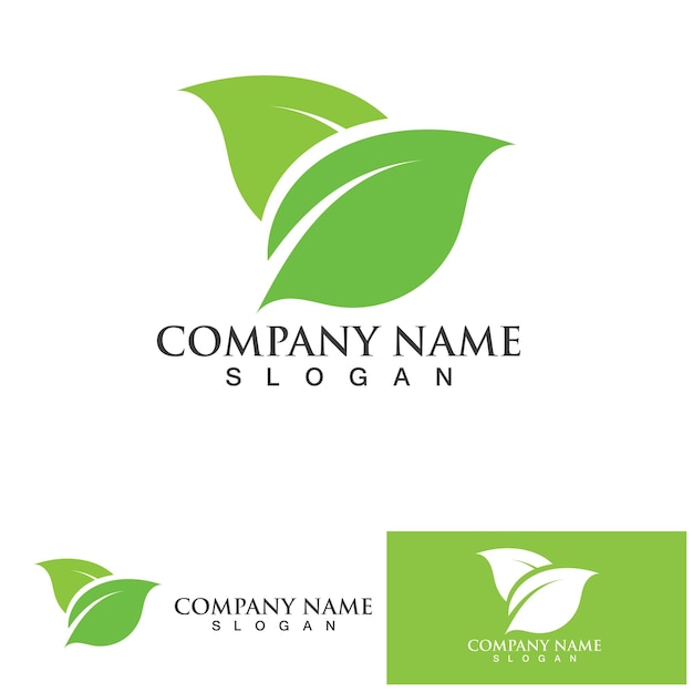 Logotipo vectorial de energía ecológica con símbolo de hoja Color verde con gráfico de destello o trueno Naturaleza y electricidad renovable Este logotipo es adecuado para la tecnología de reciclaje orgánico