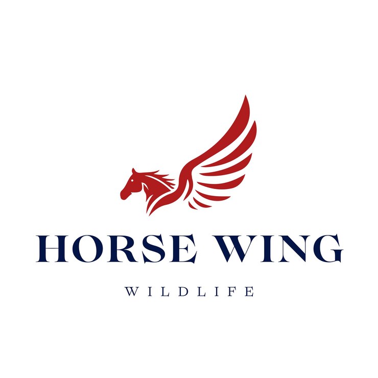 Logotipo de la vida silvestre del ala de caballo para la identidad de la marca