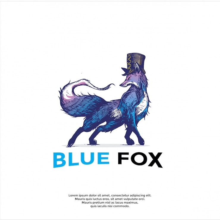 Vector logotipo de zorro azul handrawn
