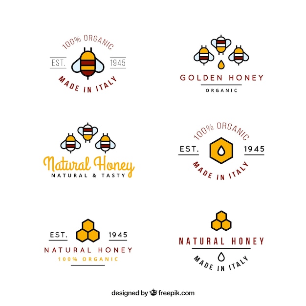 Logotipos de colores de miel ecológica en estilo lineal 
