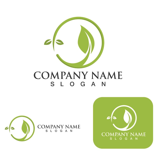 Logotipos de ecología de hoja de árbol de vector verde