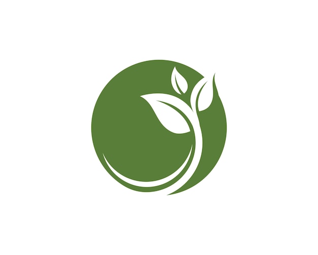 Logotipos de la ecología de la hoja del árbol verde
