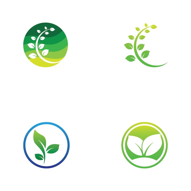 Logotipos de la ecología de la hoja del árbol verde