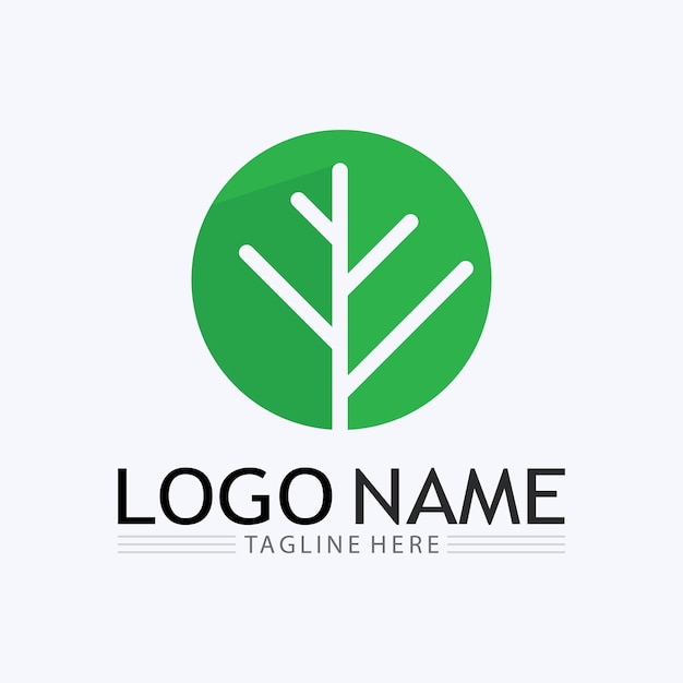Logotipos de la ecología de la hoja del árbol verde