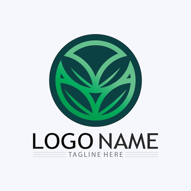 Logotipos de la ecología de la hoja del árbol verde
