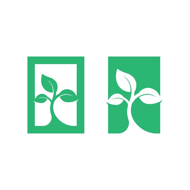 Logotipos de la ecología de la hoja del árbol verde