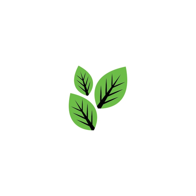 Logotipos de la ecología de la hoja del árbol verde