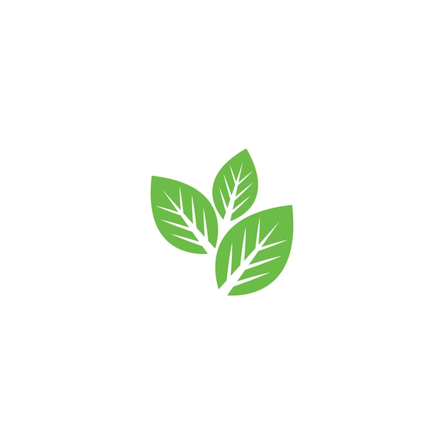 Logotipos de la ecología de la hoja del árbol verde