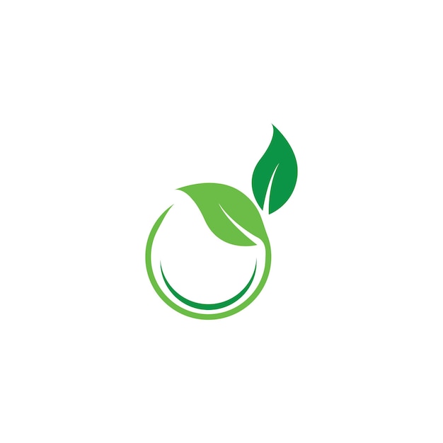 Logotipos de la ecología de la hoja del árbol verde
