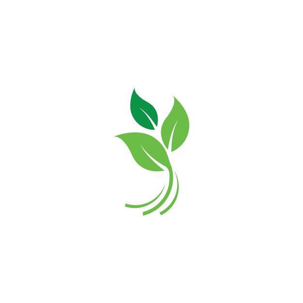 Logotipos de la ecología de la hoja del árbol verde