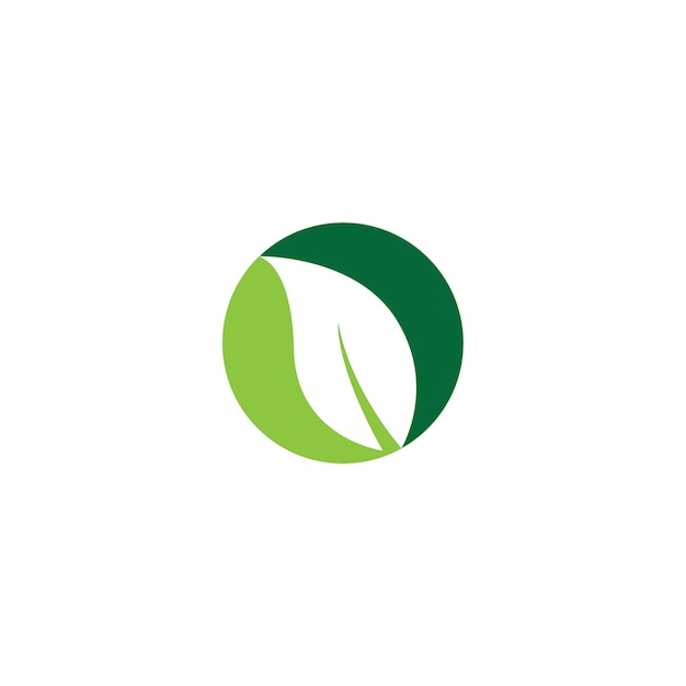 Logotipos de la ecología de la hoja del árbol verde