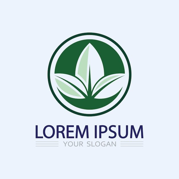 Logotipos de la ecología de la hoja del árbol verde