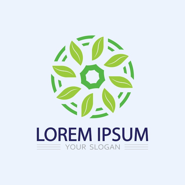 Logotipos de la ecología de la hoja del árbol verde