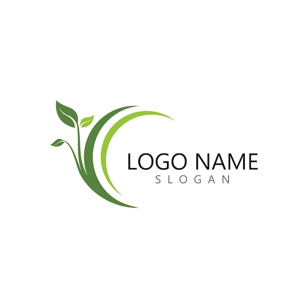 Logotipos de la ecología de la hoja del árbol verde