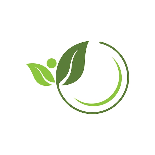 Logotipos de la ecología de la hoja del árbol verde