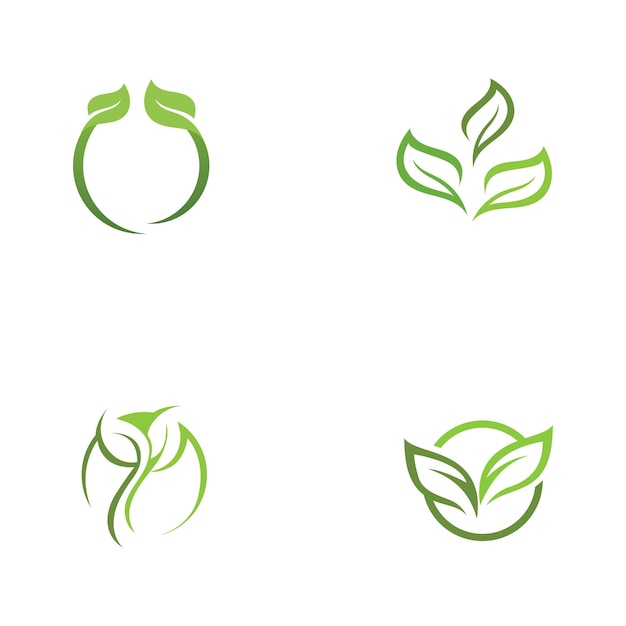 Logotipos de la ecología de la hoja del árbol verde