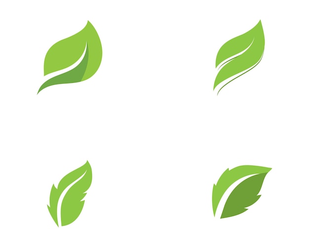 Logotipos de la ecología de la hoja del árbol verde