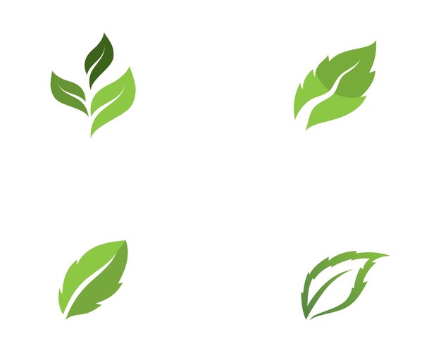 Logotipos de la ecología de la hoja del árbol verde
