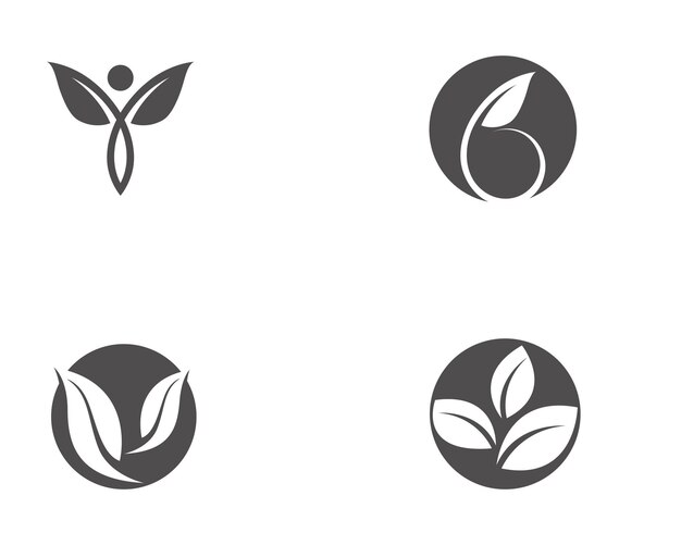 Logotipos de la ecología de la hoja del árbol verde