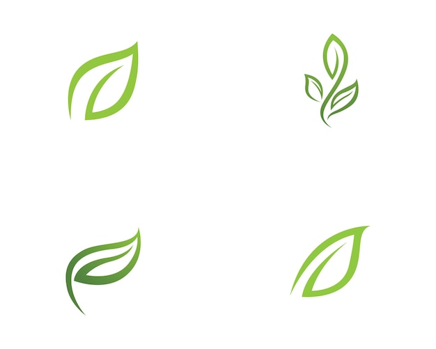 Logotipos de la ecología de la hoja del árbol verde