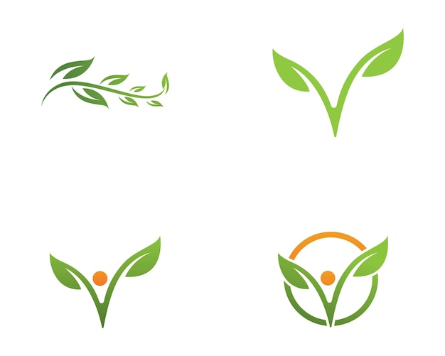 Logotipos de la ecología de la hoja del árbol verde