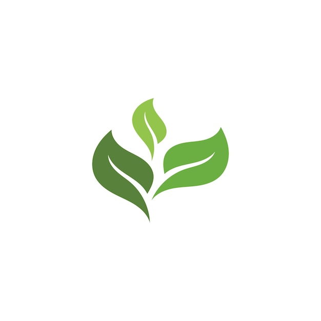 Logotipos de la ecología de la hoja del árbol verde