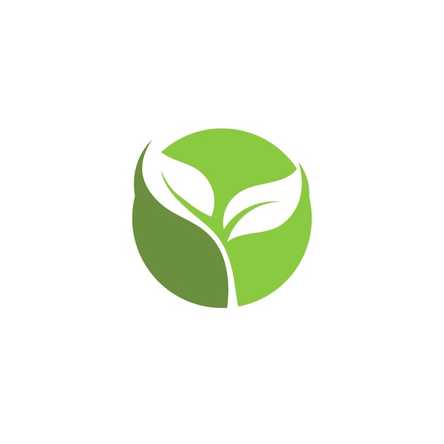 Logotipos de la ecología de la hoja del árbol verde